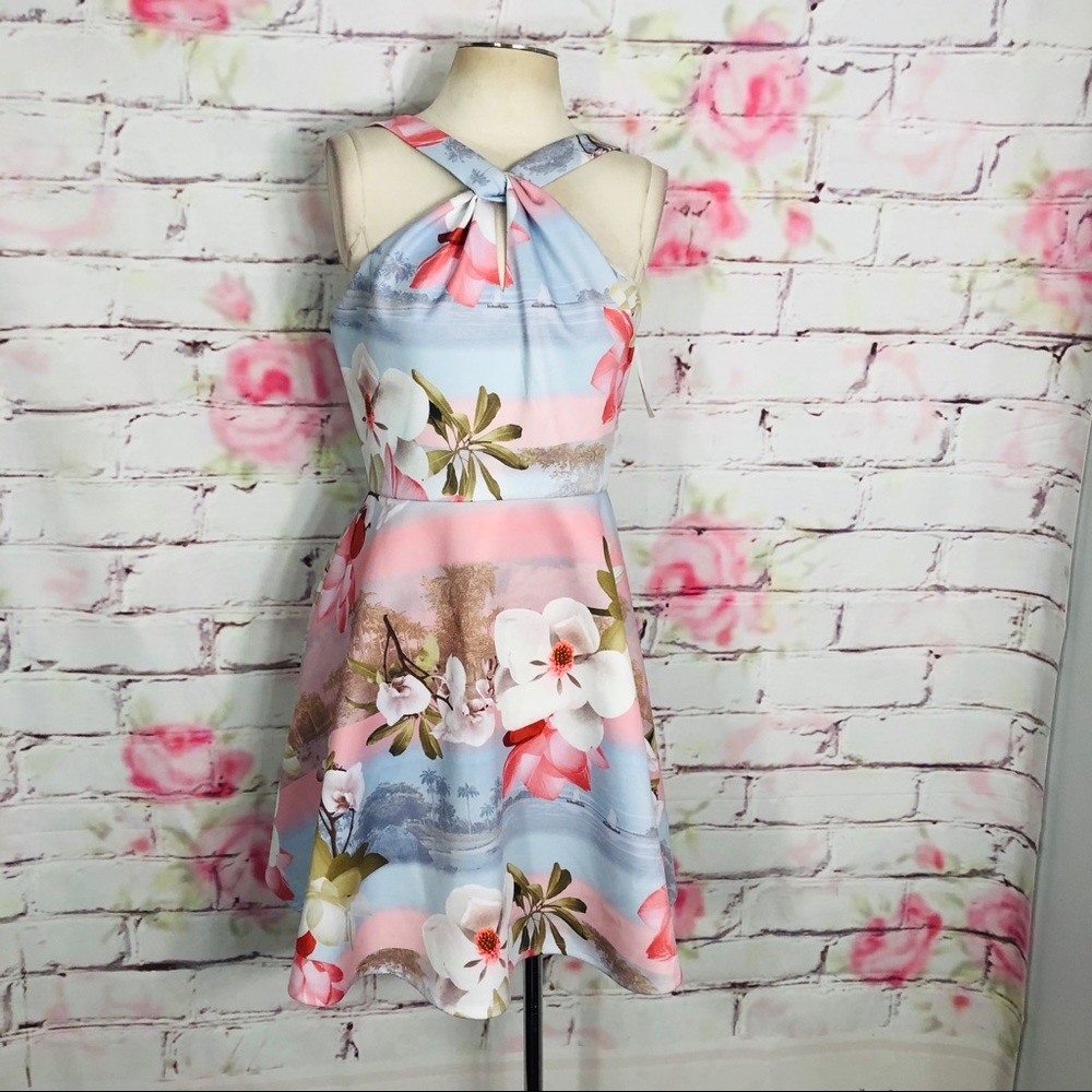 Ted Baker Umerta floral skater dress NWOT - Picture 5 of 16